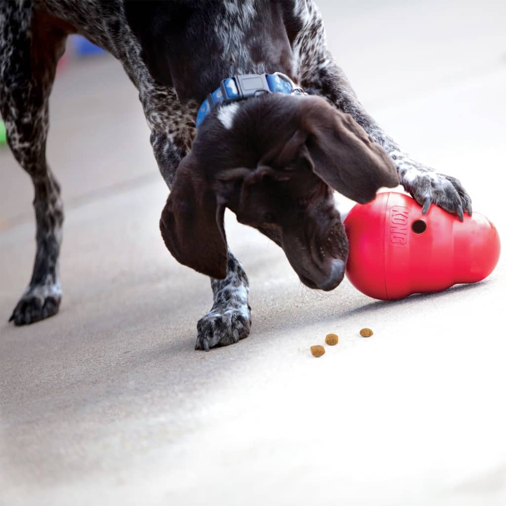 Kong Dog Toy Snack Dispenser Wobbler Red L