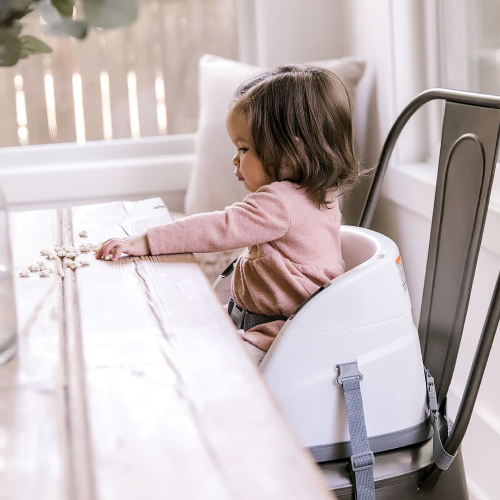 Ingenuity Baby Base 2-in-1 Booster Seat Slate