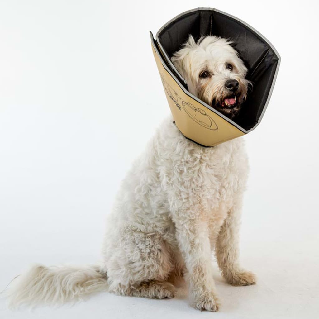 All Four Paws Pet E-collar Comfy Cone M 20 cm Tan