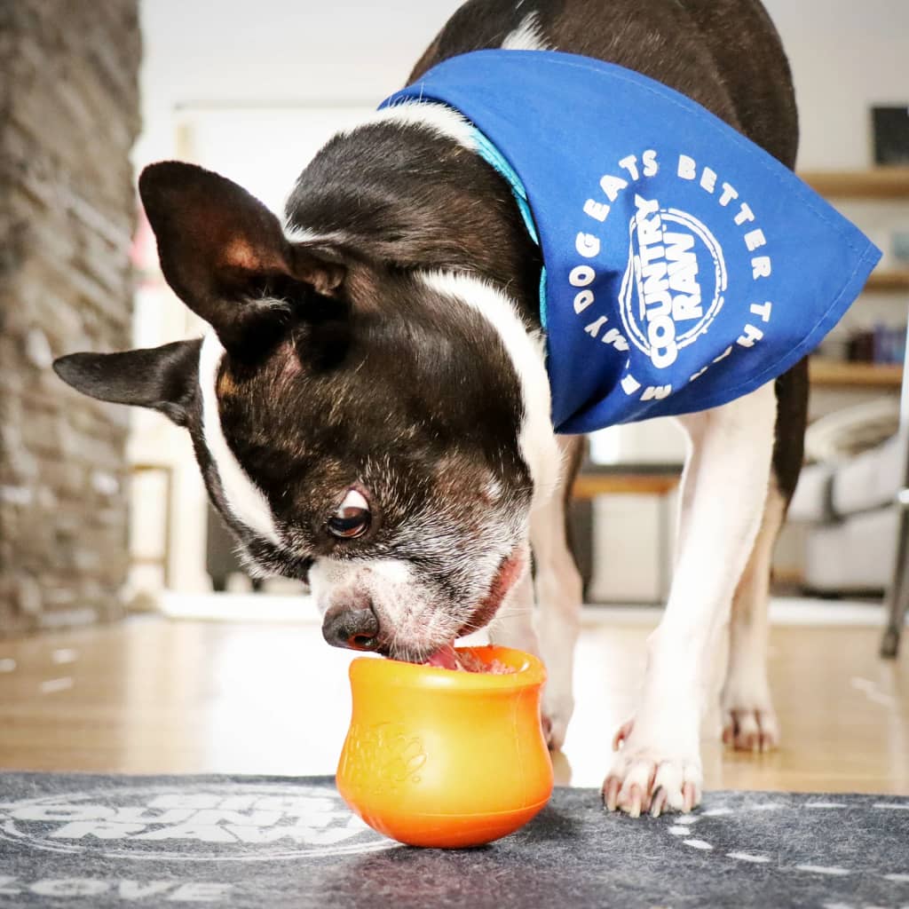 West Paw Dog Toy with Zogoflex Toppl Tangerine Orange S