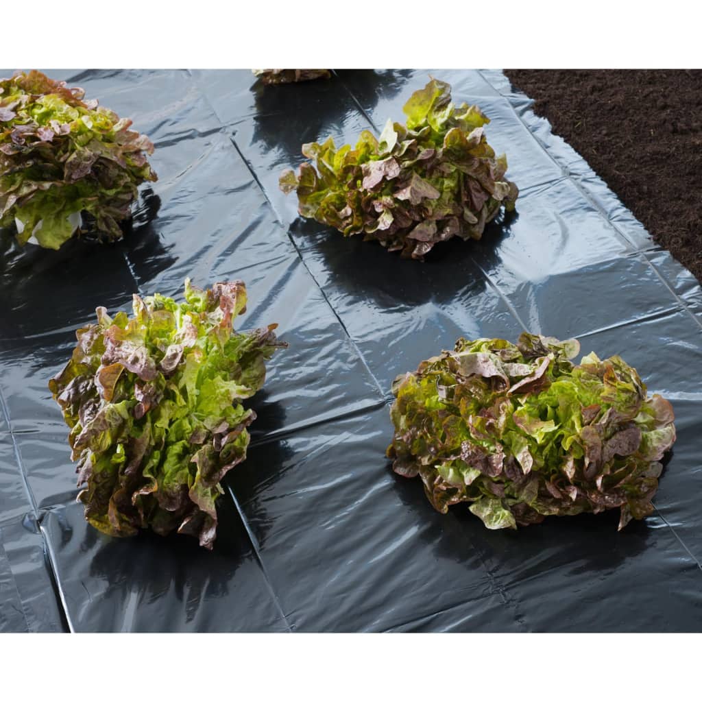 Nature Cover Foil 3x4 m 100�_�_ǵ Black