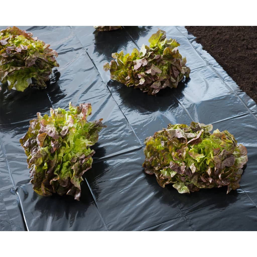 Nature Cover Foil 4x6 m 100�_ǵ Black