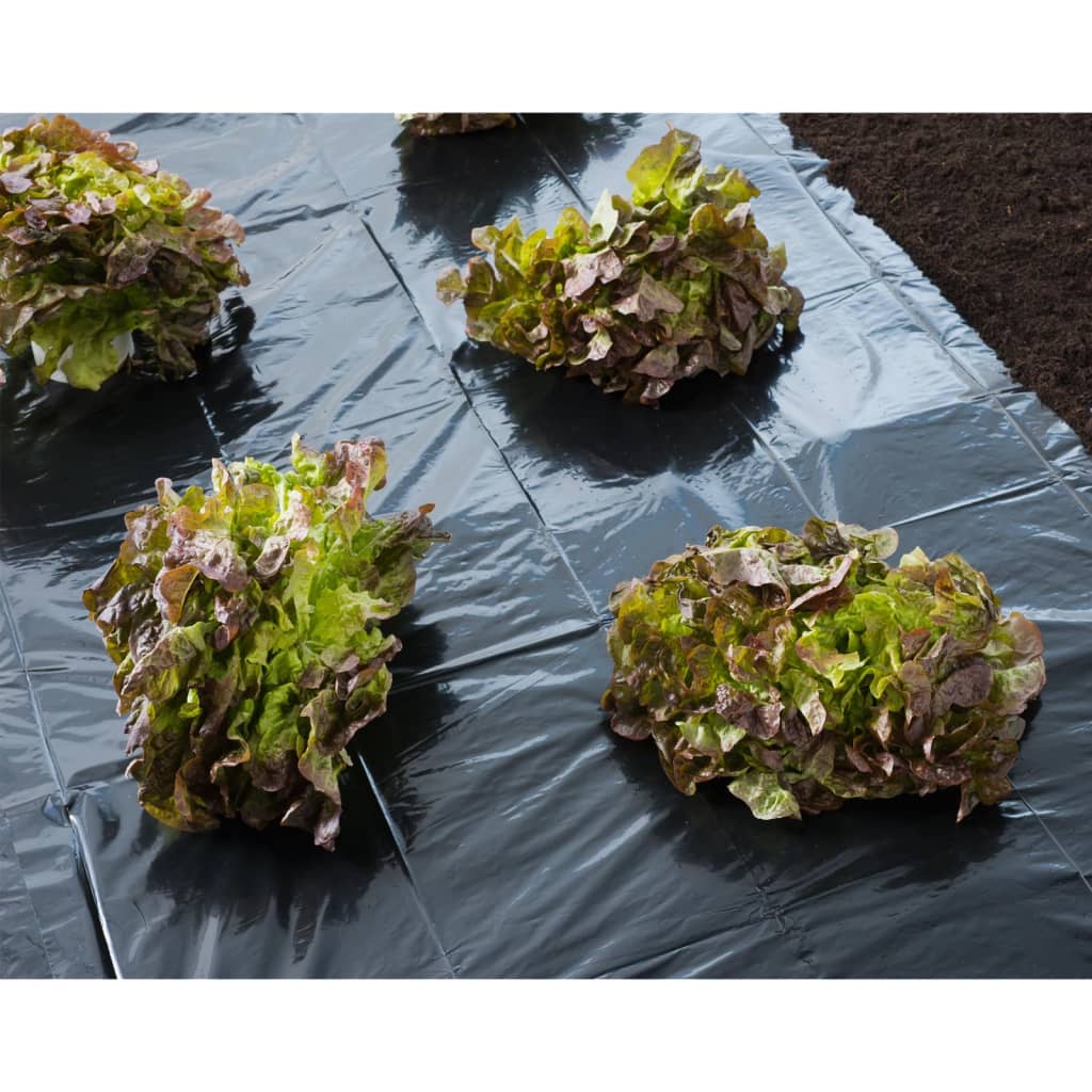 Nature Cover Foil 4x6 m 150�_ǵ Black