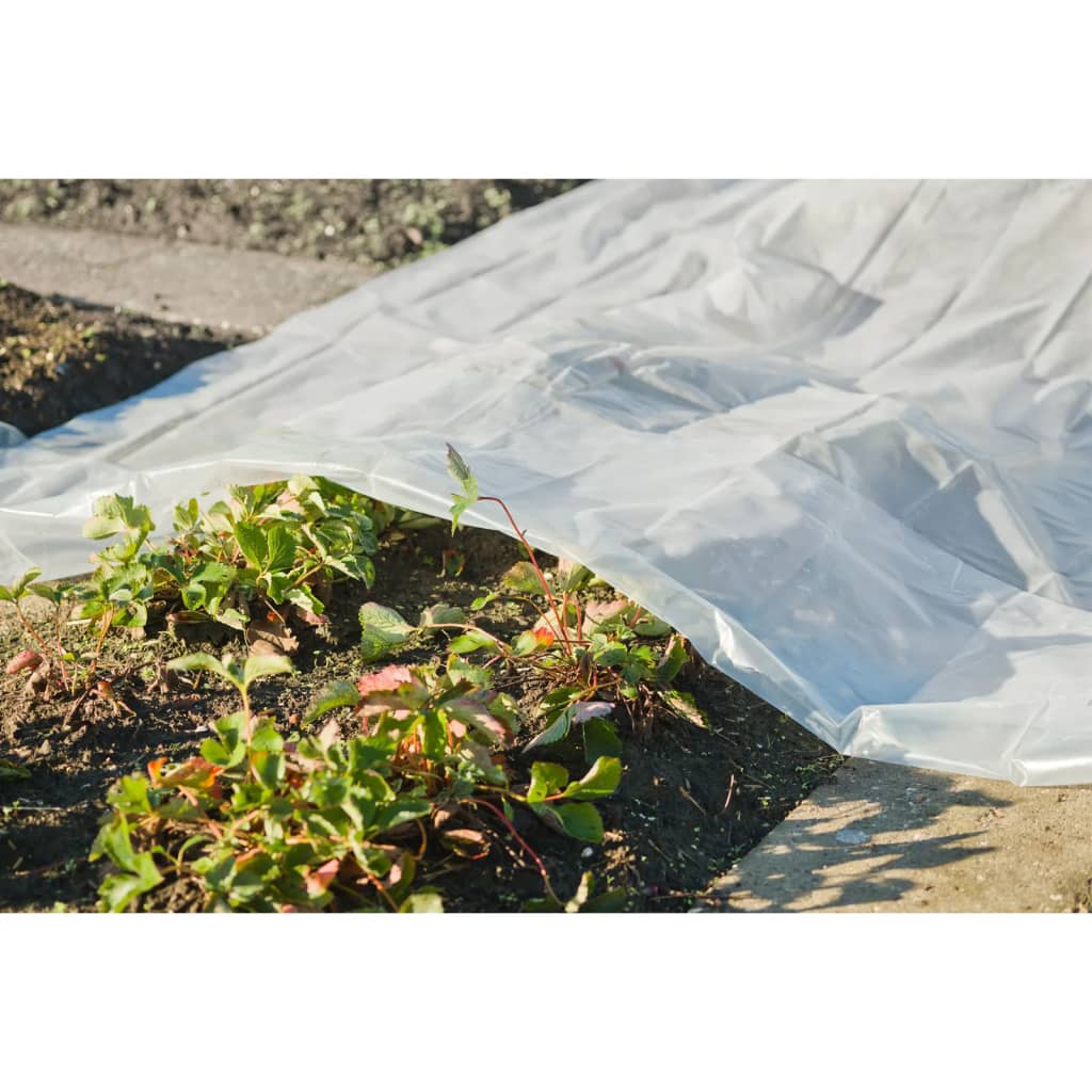 Nature Plant Cover 3x4 m 200�_ǵ Transparent
