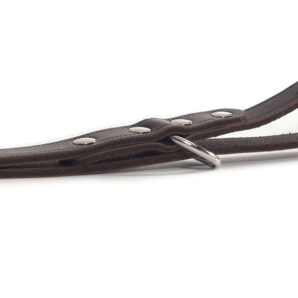 Beeztees Training Leash Leather Brown 200x1.8 cm 736402