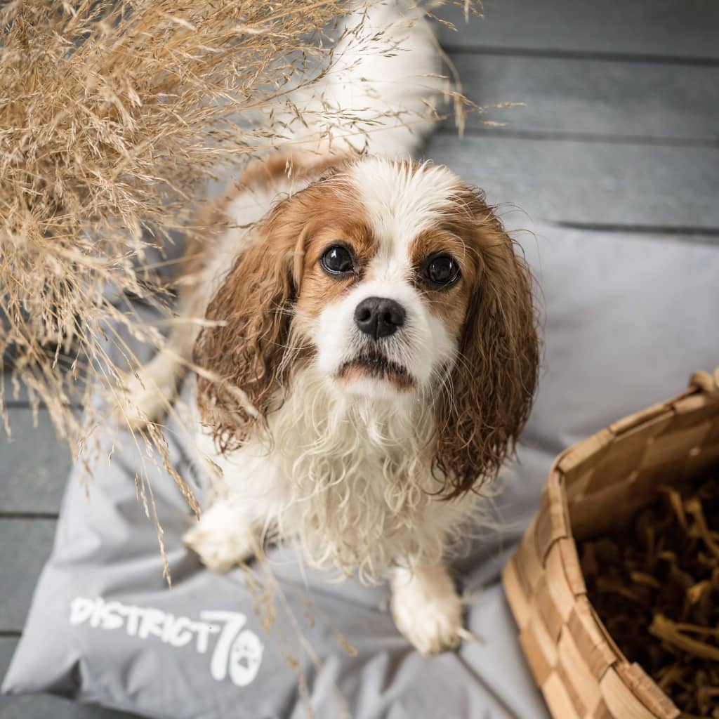 DISTRICT70 Crate Mat LODGE Light Grey M