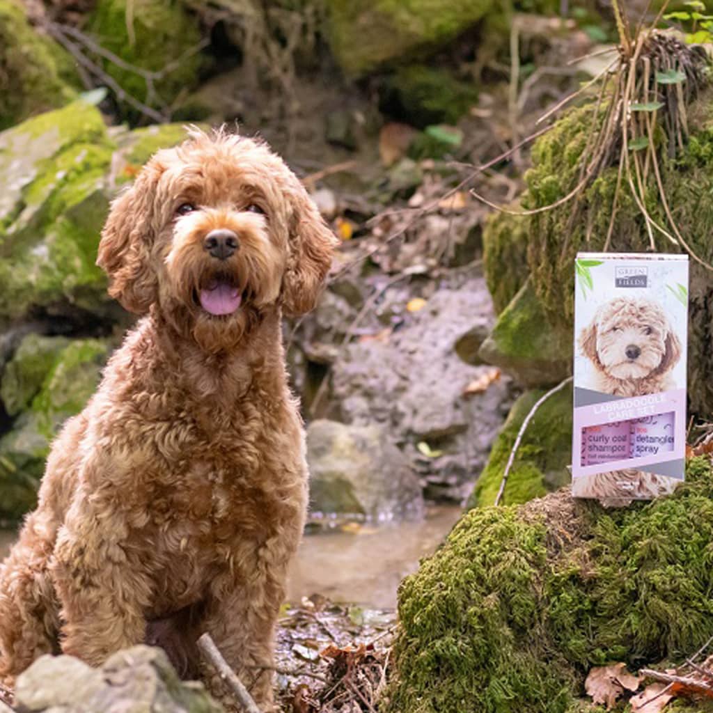 Greenfields Labradoodle Dog Shampoo and Spray Set 2x250 ml
