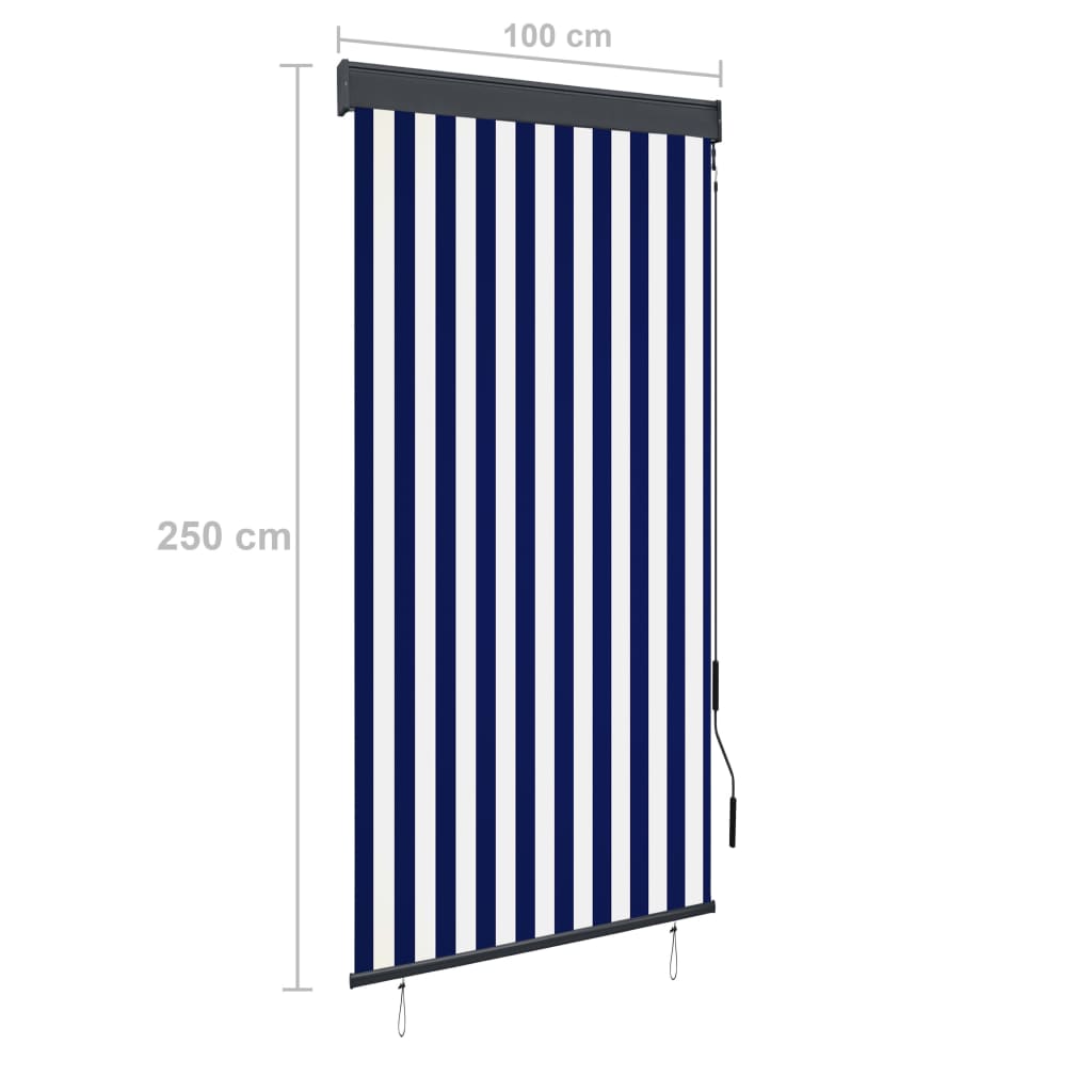 Berkfield Outdoor Roller Blind 100x250 cm Blue and White
