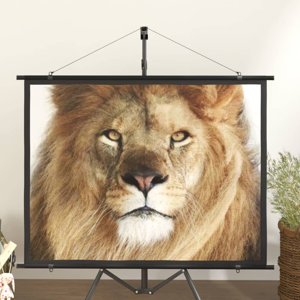 Berkfield Projection Screen 60" 4:3