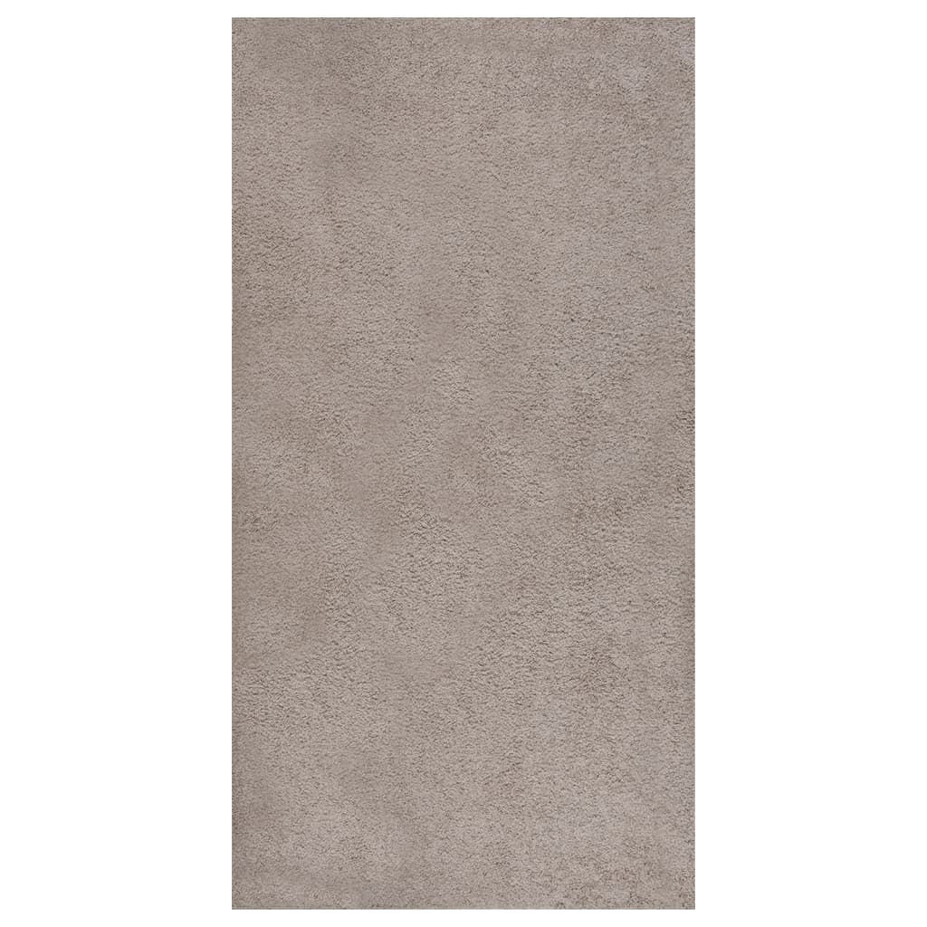 Berkfield Shaggy Rug High Pile Beige 80x150 cm