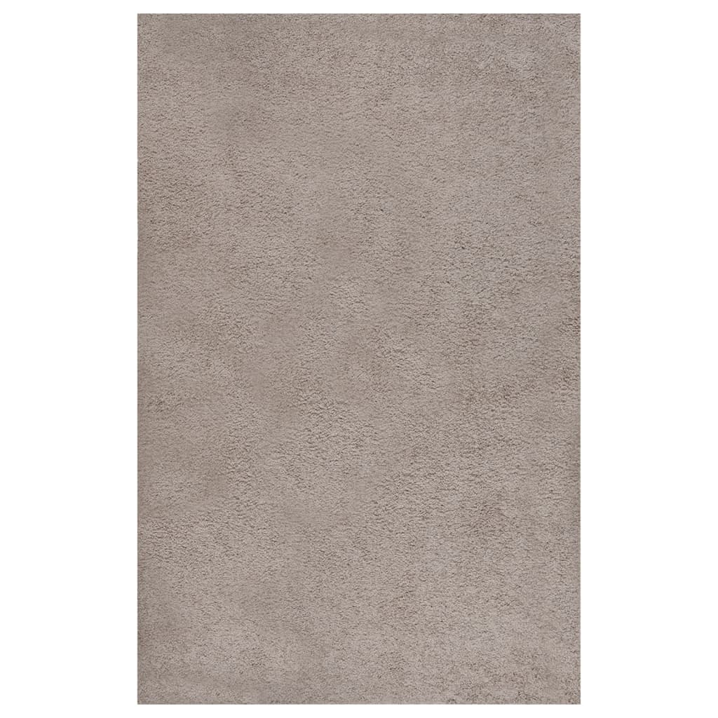 Berkfield Shaggy Rug High Pile Beige 200x290 cm