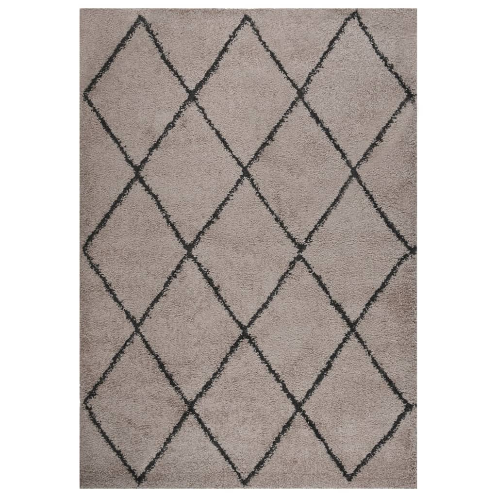 Berkfield Shaggy Rug High Pile Beige and Anthracite 120x170 cm