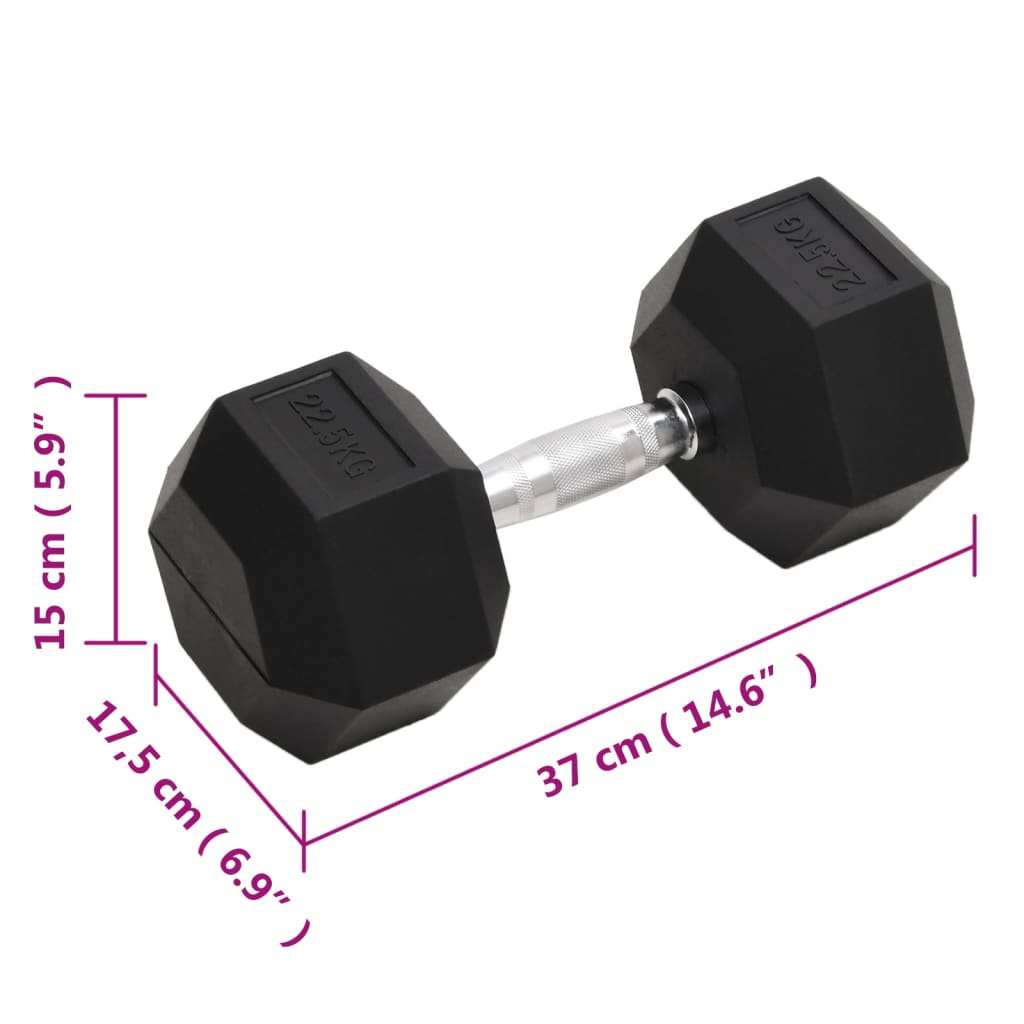 Berkfield Dumbbell 22.5 kg Cast Iron