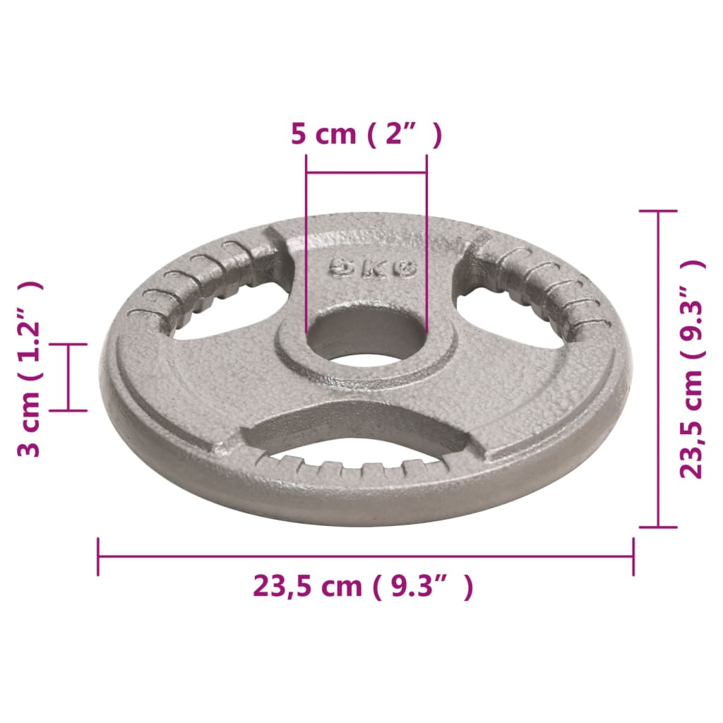 Berkfield Olympic Weight Plates 2 pcs 10 kg Cast Iron