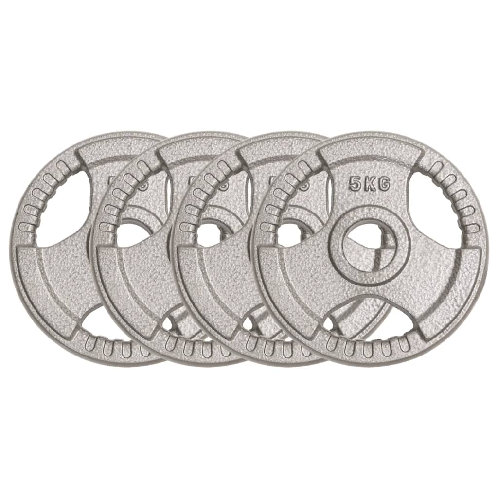 Berkfield Olympic Weight Plates 4 pcs 20 kg Cast Iron