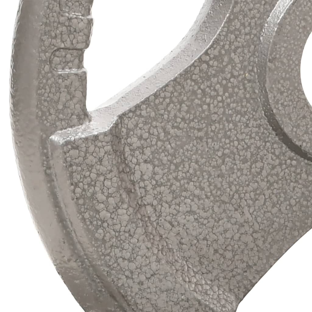 Berkfield Curl Barbell with Plates 30 kg Cast Iron&Chrome Plated Steel