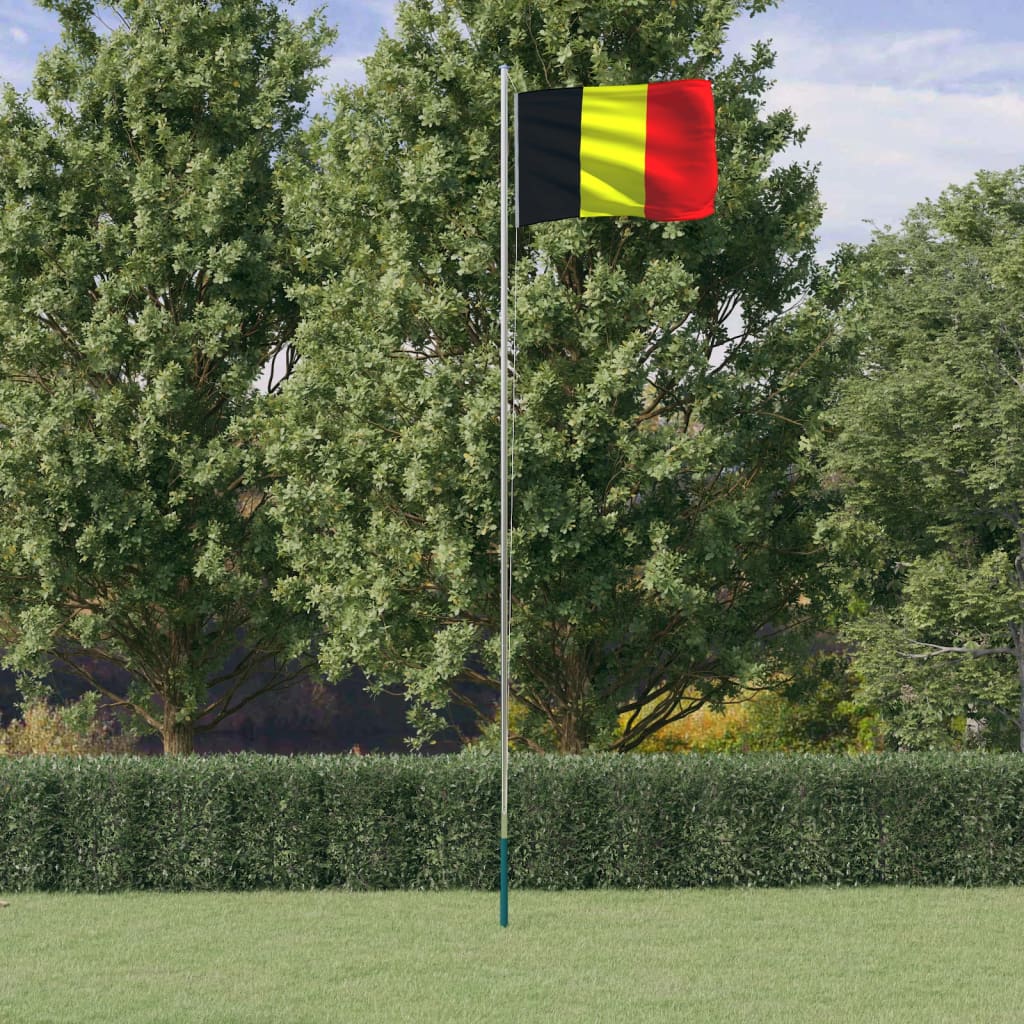 Berkfield Belgium Flag and Pole 6.23 m Aluminium