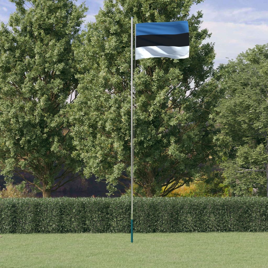 Berkfield Estonia Flag and Pole 6.23 m Aluminium
