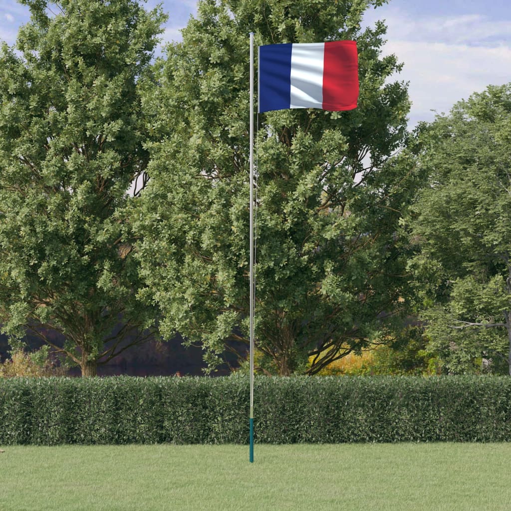 Berkfield France Flag and Pole 6.23 m Aluminium