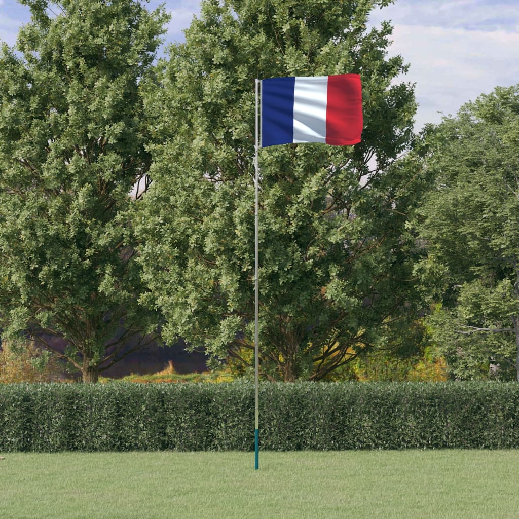 Berkfield France Flag and Pole 5.55 m Aluminium