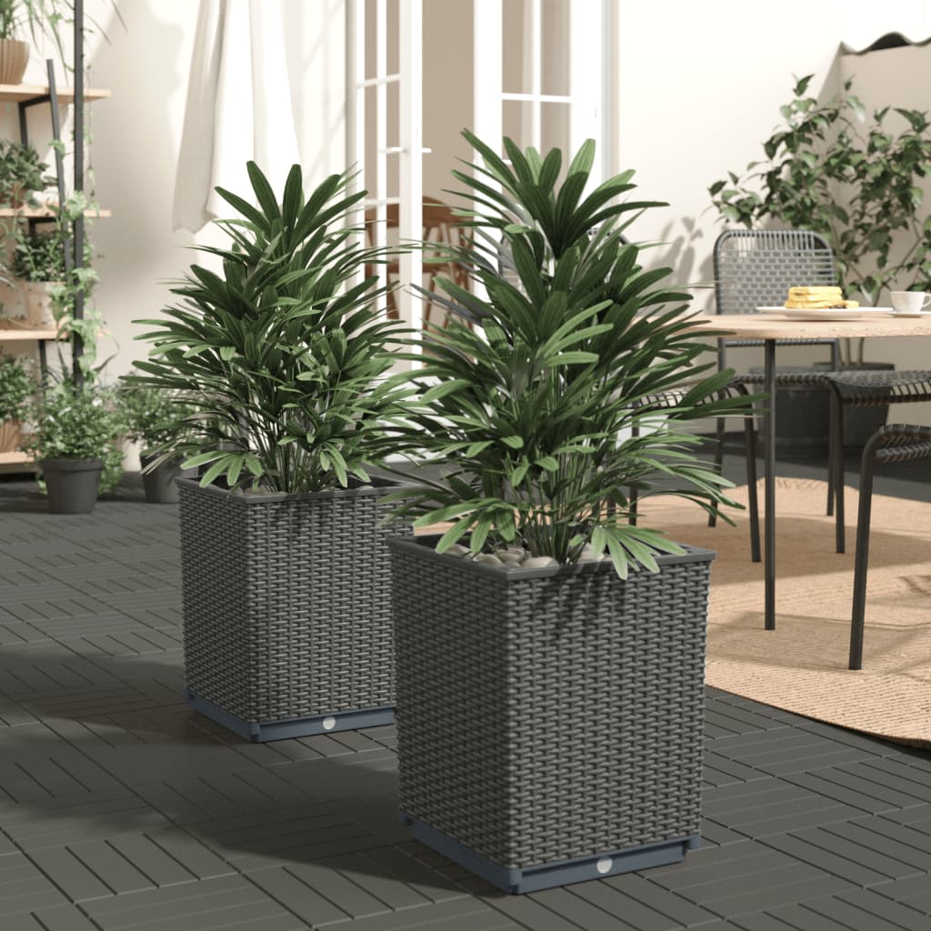 Berkfield Planters 2 pcs Black 30x30x37 cm Polypropylene