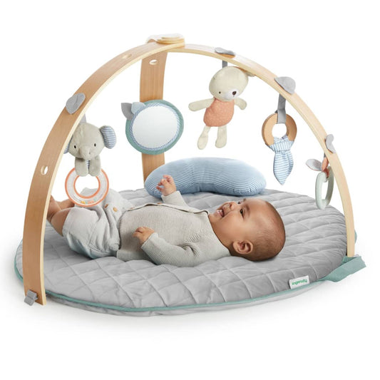 Ingenuity Reversible Activity Gym __��__��Cozy Spot__�_æ__�_