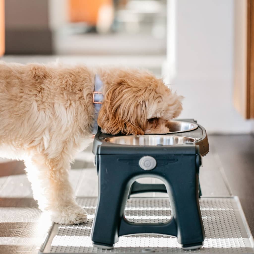 Dexas Pet Feeder Grey
