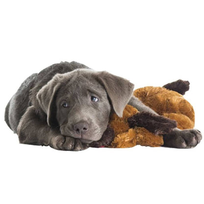 Snuggle Puppy Comfortable Beginnings New Puppy Starter Kit