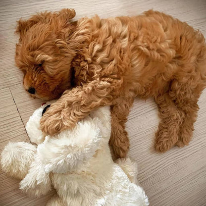Snuggle Puppy Heartbeat Stuffed Dog Toy Golden