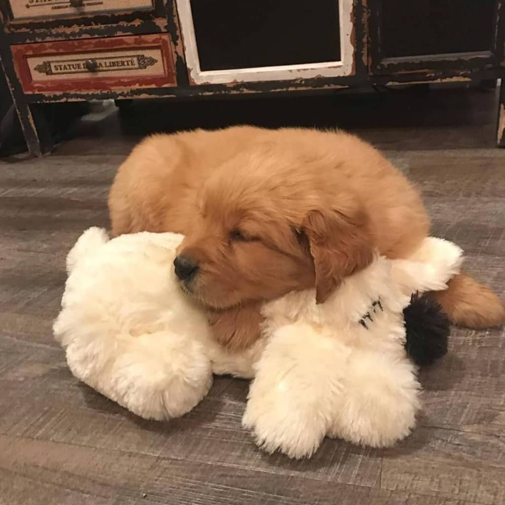 Snuggle Puppy Heartbeat Stuffed Dog Toy Golden
