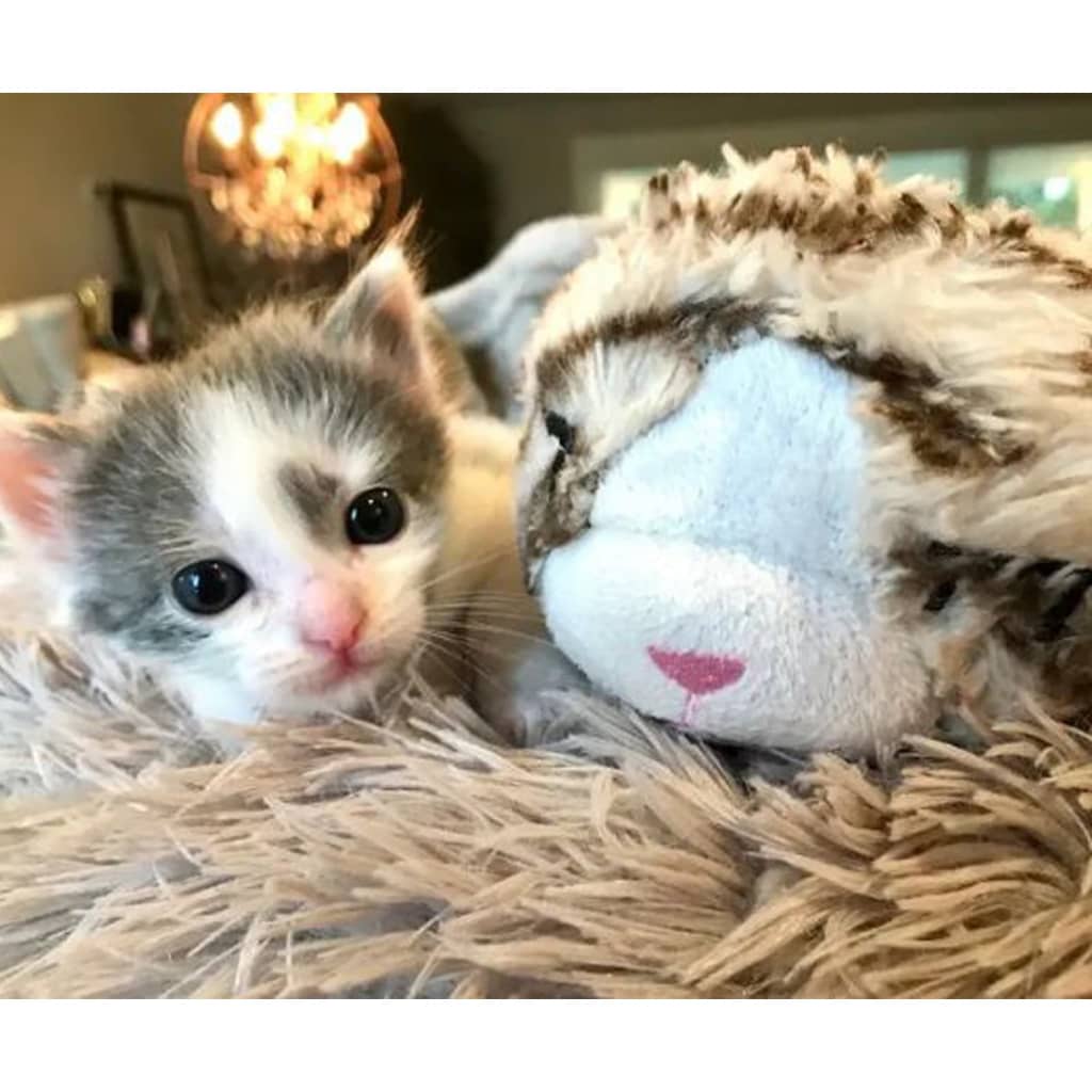 Snuggle Puppy Heartbeat Stuffed Cat Toy Grey and White