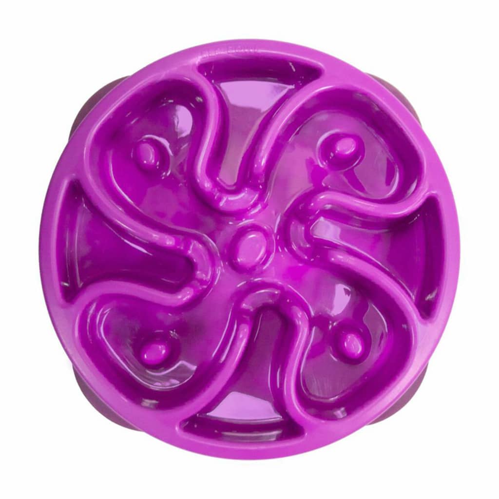 Outward Hound Mini Slow Feeder for Dogs Slo Bowl Purple
