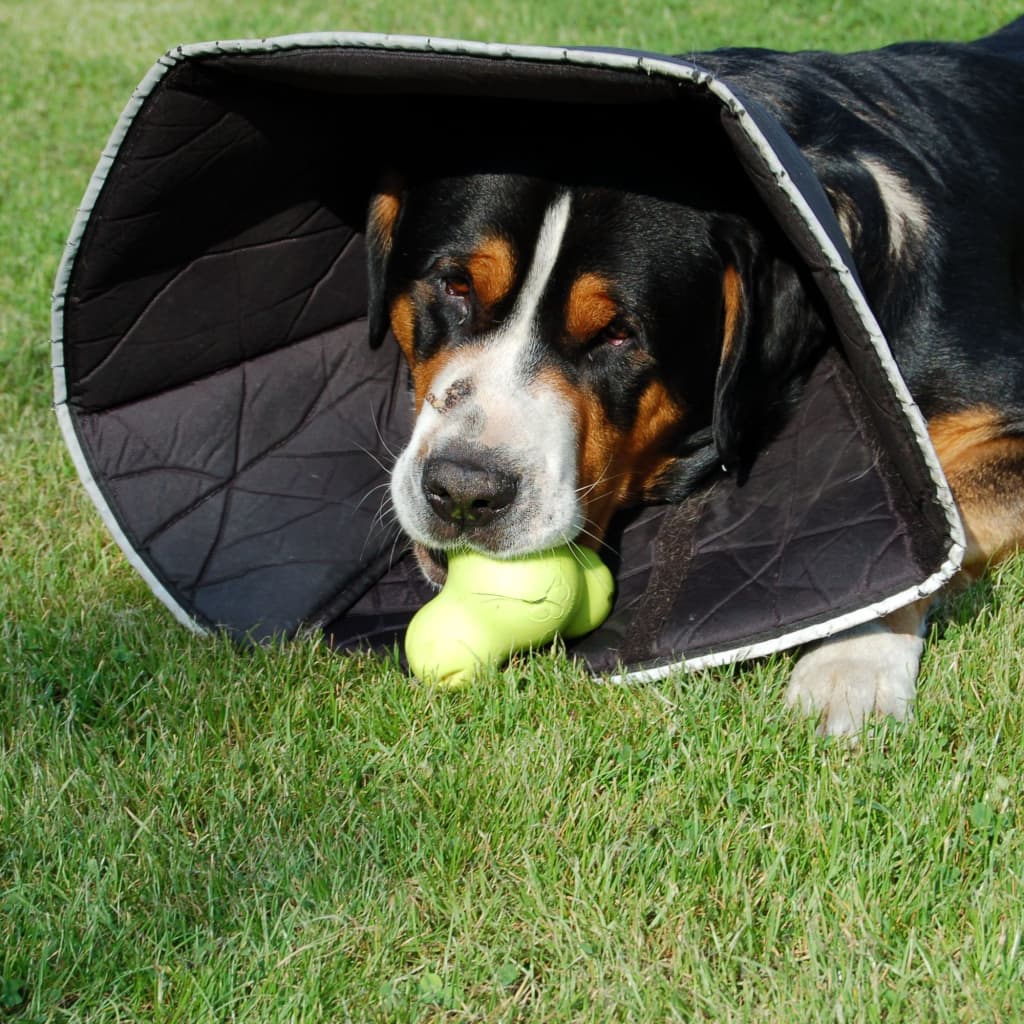 All Four Paws E-collar Comfy Cone L 25 cm Black