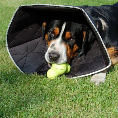 All Four Paws E-collar Comfy Cone L 25 cm Black