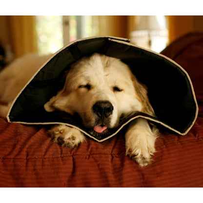 All Four Paws E-collar Comfy Cone L 25 cm Black