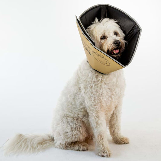 All Four Paws Pet E-collar Comfy Cone M 20 cm Tan
