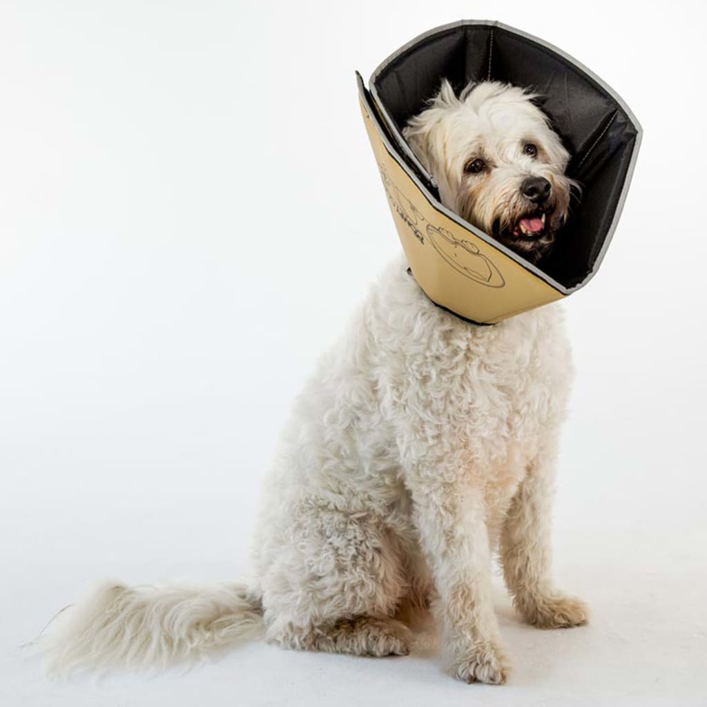 All Four Paws Pet E-collar Comfy Cone XL 30 cm Tan