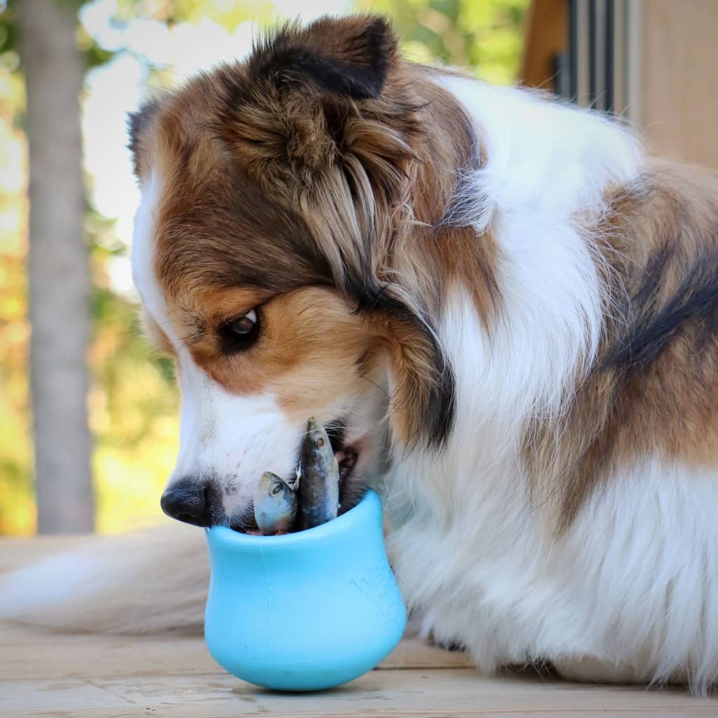 West Paw Dog Toy with Zogoflex Toppl Aqua Blue S