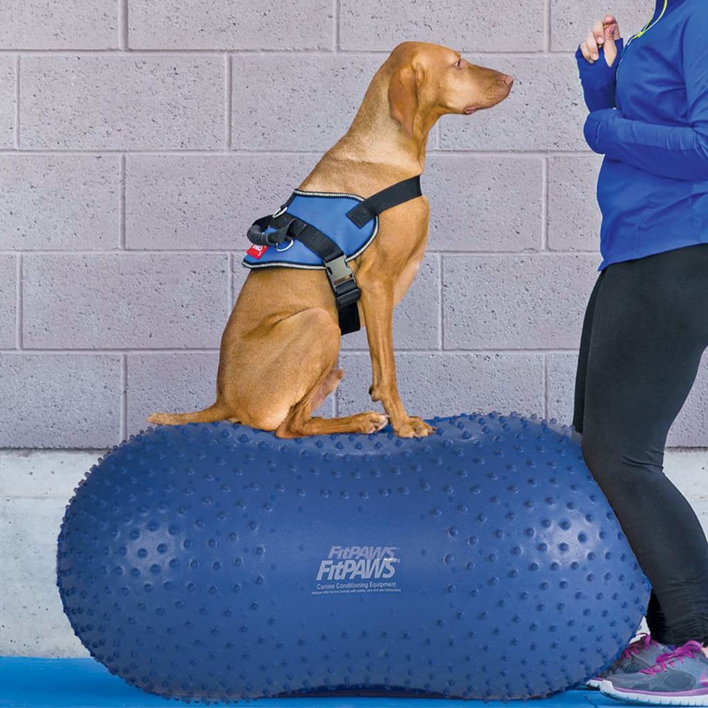 FitPAWS Pet Balance Platform Trax Peanut 60 cm Blue