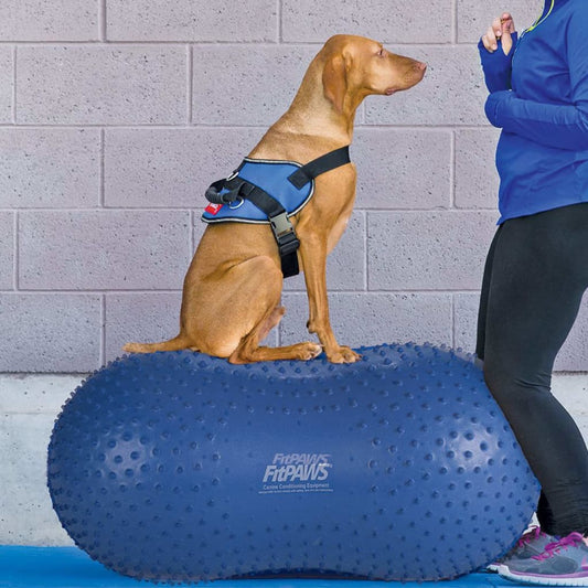 FitPAWS Pet Balance Platform Trax Peanut 60 cm Blue
