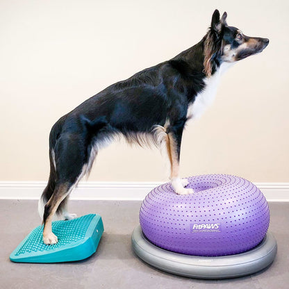 FitPAWS Pet Balance Ramp 35x35x7 cm Blue