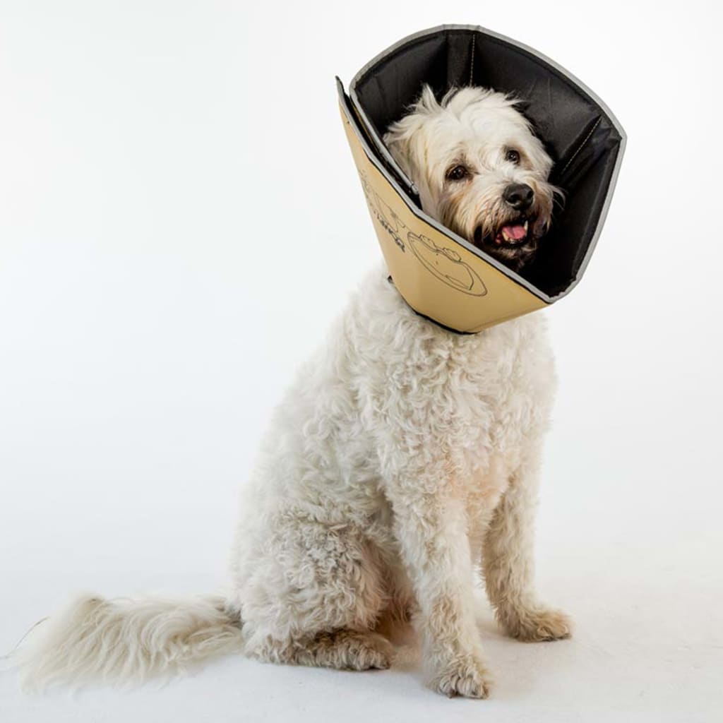 All Four Paws Pet E-collar Comfy Cone XXL 37.5 cm Tan