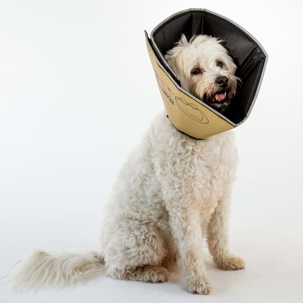 All Four Paws Pet E-collar Comfy Cone S Long 20 cm Tan