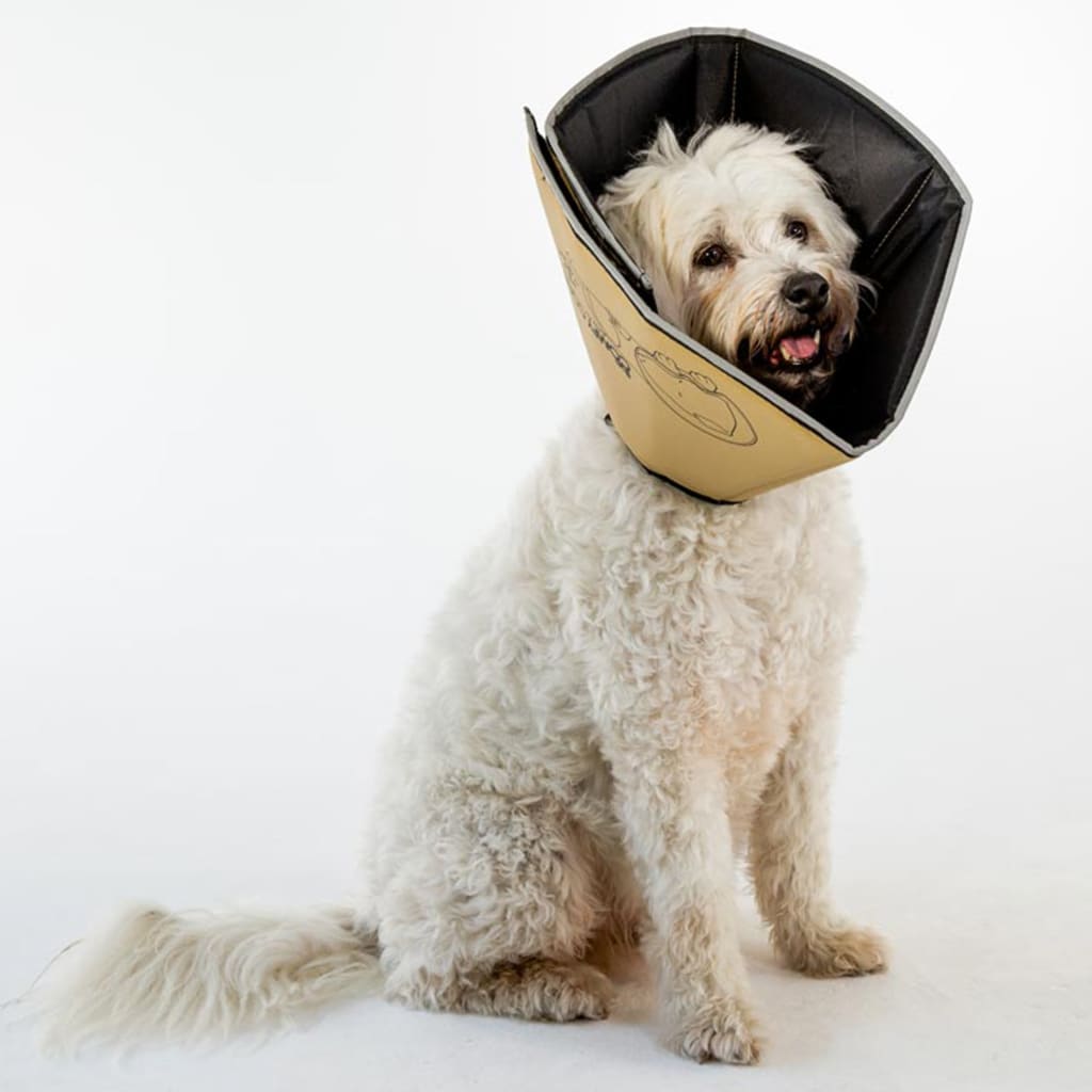All Four Paws Pet E-collar Comfy Cone M Long 30 cm Tan