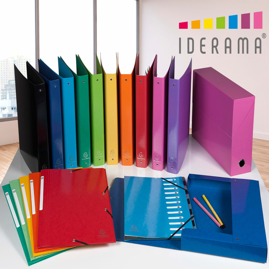 Exacompta Ring Binders Iderama A4 with 2-Rings 30mm