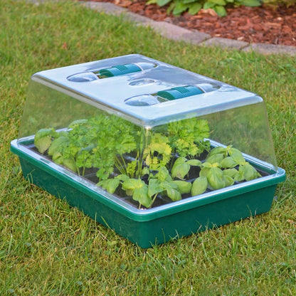 HI Mini Greenhouse 38x24.5x18 cm Transparent
