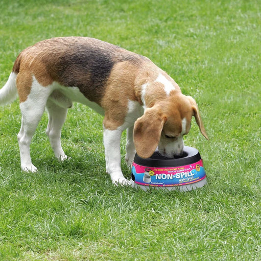 Road Refresher Non-Spill Pet Water Bowl Small Grey SGRR