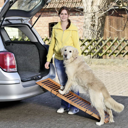 FLAMINGO Dog Ramp Foldable 120x30x6 cm