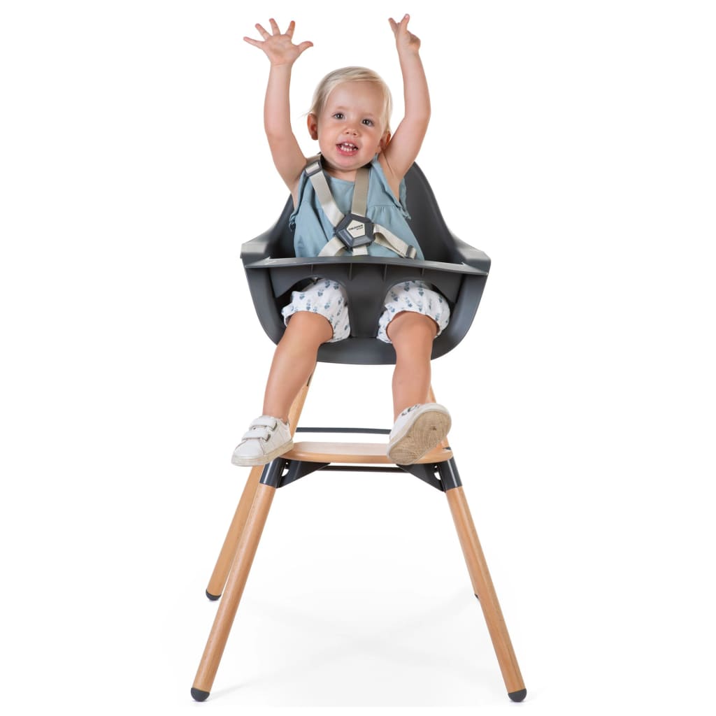 CHILDHOME 2-in-1 Baby High Chair Evolu 2 Anthracite CHEVOCHNA
