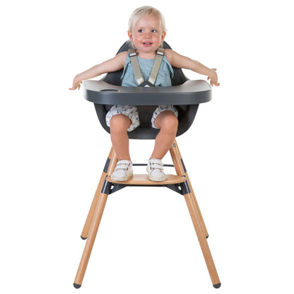 CHILDHOME 2-in-1 Baby High Chair Evolu 2 Anthracite CHEVOCHNA
